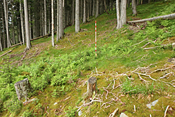 Verj�ngungskontrolle