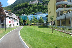 Aeule