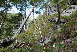 LWI
