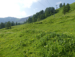 Malbun