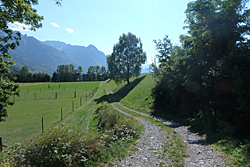 Rheindamm